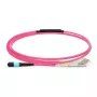 Lanview LVO230501-MTP InfiniBand / šviesolaidinis kabelis 1 m Violetinė