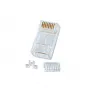 Lindy RJ-45 kištukas, neekranuotas, 8 kontaktų, CAT6, 10 vnt. pakuotė