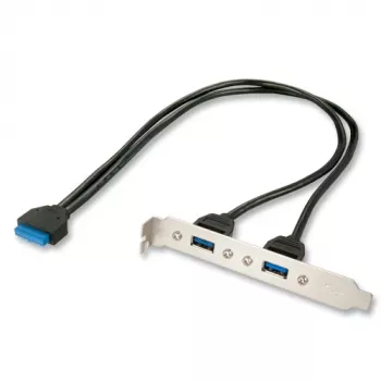 Vidinis USB kabelis Lindy 33096, 0,4 m, USB 3.2 Gen 1