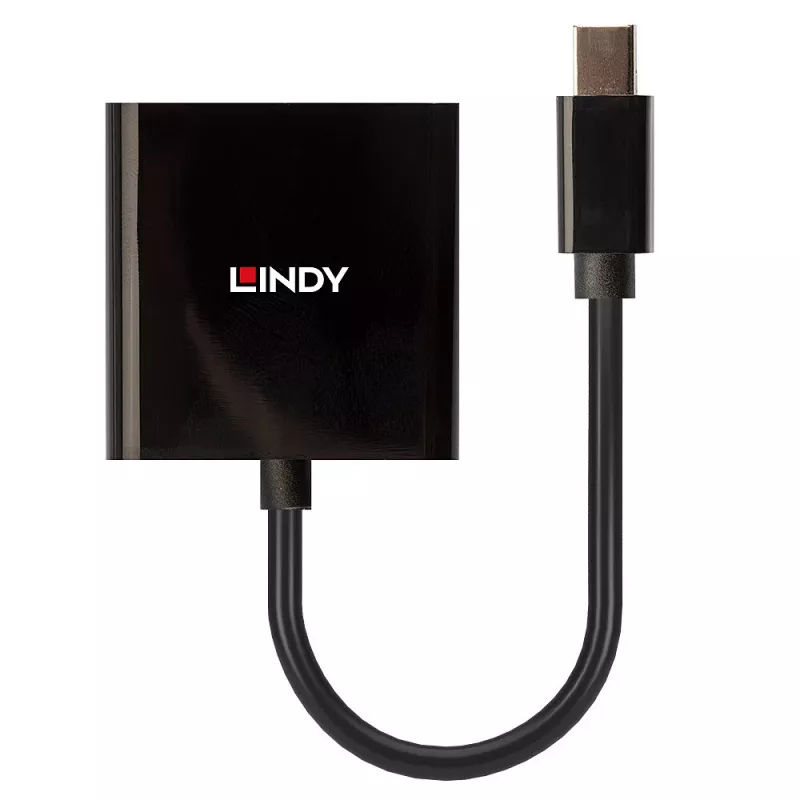 Lindy Mini DisplayPort į DVI aktyvus keitiklis 0,16 m juodas