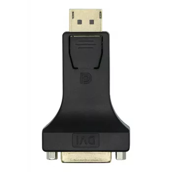 Adapteris DisplayPort į DVI-I ProXtend DP1.2-DVI245