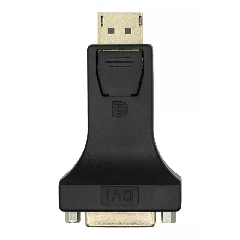 Adapteris DisplayPort į DVI-I ProXtend DP1.2-DVI245