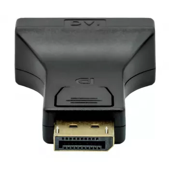Adapteris DisplayPort į DVI-I ProXtend DP1.2-DVI245