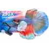 Dokumentų kamera AVer M70W Juoda 25.4 / 3.2 mm CMOS USB 2.0