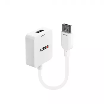 Lindy HDMI 1.4 į DisplayPort 1.1 keitiklis (38146)