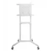 Vivolink VLFS3770 TV laikiklis 177,8 cm (70 colių) Baltas