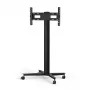 Pristatomas monitoriaus stovas SMS Smart Media Solutions K12-025-EU-1 190,5 cm Juodas