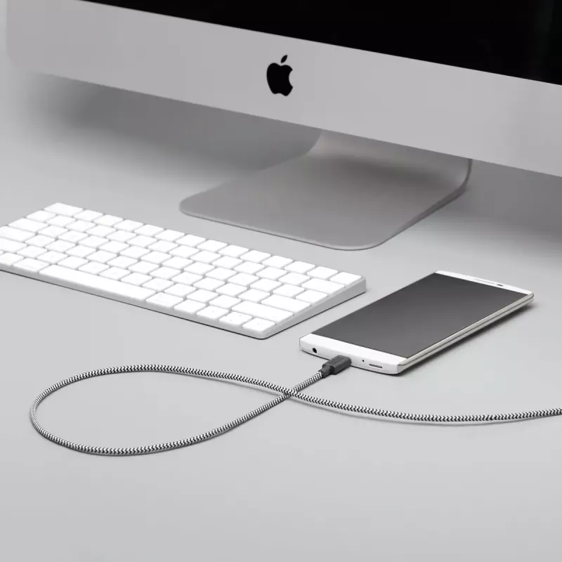 USB A į USB-C laidas Native Union Belt Cable XL 3 m Juoda Balta