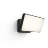 Philips Hue White Welcome Floodlight lauko prožektorius, 20,5W LED, juodas