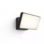 Philips Hue White Welcome Floodlight lauko prožektorius, 20,5W LED, juodas