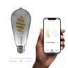 Išmanioji lemputė Hombli HBEB-0211, Wi-Fi, 5,5 W, pilka, A19 (6,1×14,2 cm)