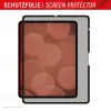 Displex TABLET PRIVACY SAFE nuimamas dvipusis privatumo filtras, skirtas iPad Pro 13 colių / Air 13 colių (2024/2025)
