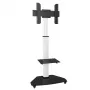 Techly grindinis stovas su lentyna televizoriui LCD/LED/Plasma 37-70 col. baltas