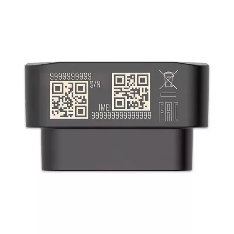 GPS sekiklis Teltonika FMB020 juodas, atsparus dulkėms, 0.128 GB