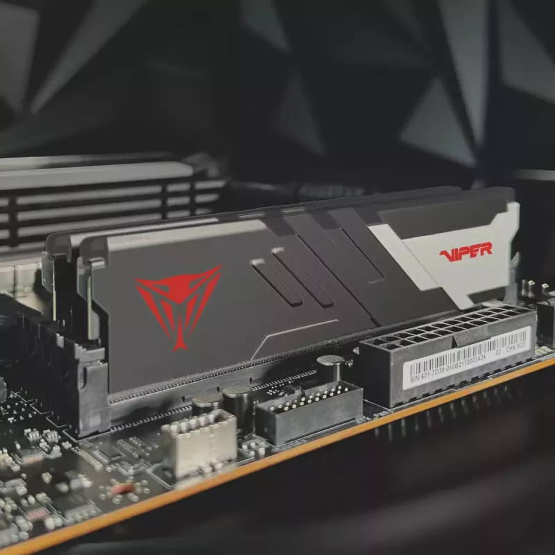 32GB Patriot DIMM 6600 (2x 16 GB) Dual-Kit (schwarz, PVV532G660C34K, Viper Venom, INTEL XMP)