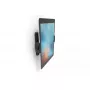 Sieninis laikiklis Compulocks Universal Tablet Cling VESA suderinamas juodas