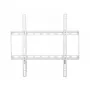 Techly ICA-PLB-162MW TV laikiklis 139,7 cm (55 col.) Baltas