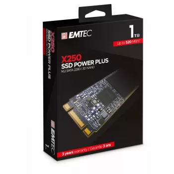 SSD diskas Emtec 1 TB M.2 Serial ATA III X250