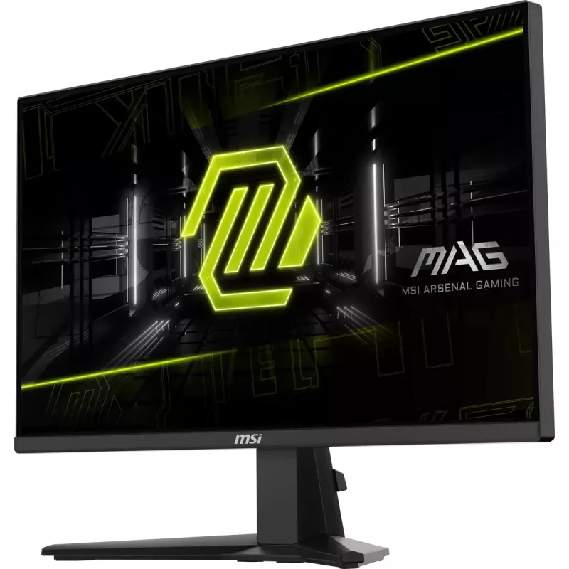 Monitorius MSI MAG 255XF 62,2 cm (24,5 colio) 1920 x 1080 pikselių Full HD juodas