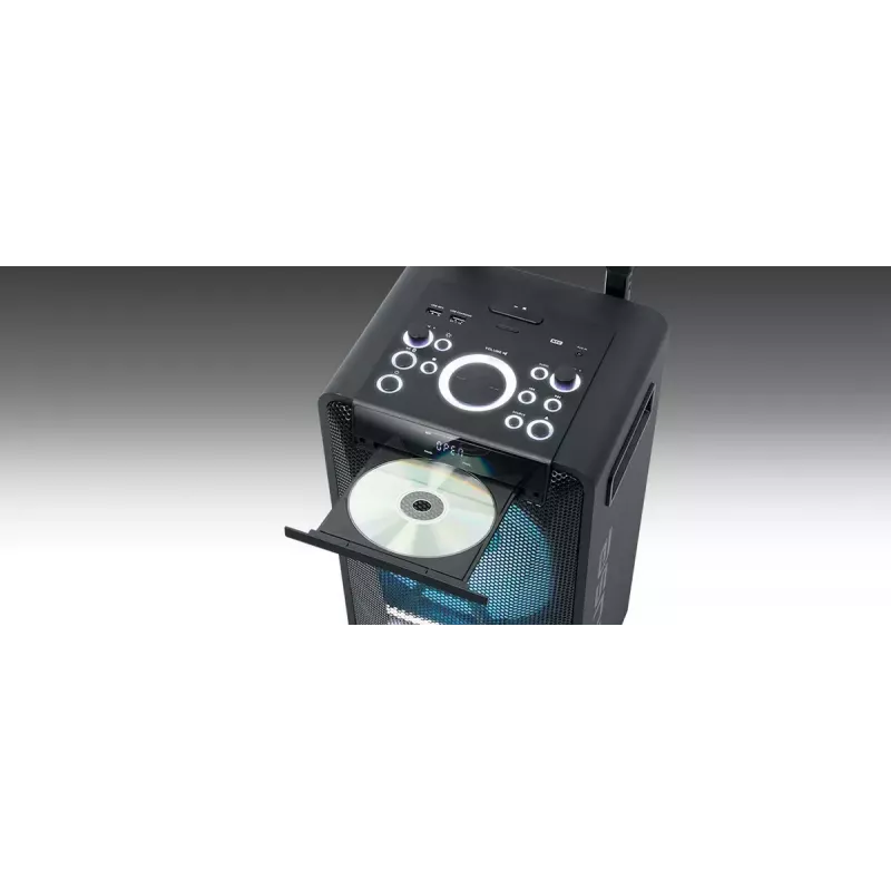 Nešiojamas garsiakalbis Muse M-1920 DJ — 300 W RMS, maitinamas iš tinklo, 3,5 mm įvestis, 256×287×534 mm, 7 kg, juodas