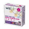 WiZ Fairy Light 20M protinga girlianda, Wi-Fi/Bluetooth, juoda, LED