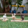 Schleich FARM WORLD Viščiukų draugai 42574 – trys spalvingos vištų figūrėlės