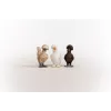 Schleich FARM WORLD Viščiukų draugai 42574 – trys spalvingos vištų figūrėlės