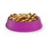 Sausas kačių maistas Whiskas Adult Chicken 14 kg
