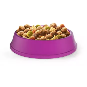 Sausas kačių maistas Whiskas Adult Chicken 14 kg