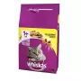 Sausas kačių maistas Whiskas Adult Chicken 14 kg