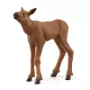 Figūrėlių rinkinys Schleich WILD LIFE Briedžių šeima – realistinės gyvūnų figūrėlės, 3+ metai, įvairiaspalvis
