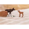 Figūrėlių rinkinys Schleich WILD LIFE Briedžių šeima – realistinės gyvūnų figūrėlės, 3+ metai, įvairiaspalvis