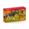 Figūrėlių rinkinys Schleich WILD LIFE Briedžių šeima – realistinės gyvūnų figūrėlės, 3+ metai, įvairiaspalvis