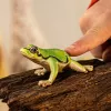 Schleich WILD LIFE Europinis medvarlė