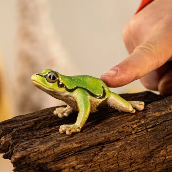 Schleich WILD LIFE Europinis medvarlė