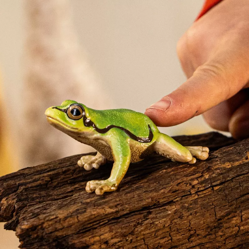 Schleich WILD LIFE Europinis medvarlė