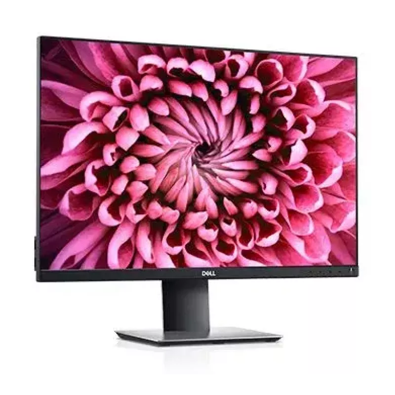 DELL P Series P2421 kompiuterio monitorius 61,2 cm (24,1 colio) 1920 x 1200 pikselių WUXGA LCD juodas