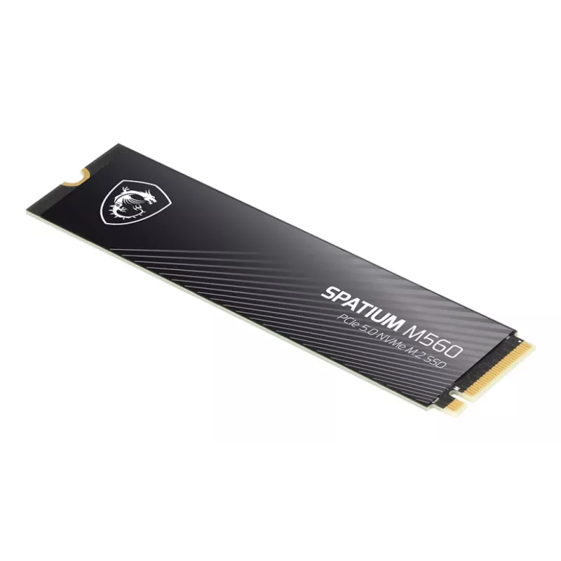 MSI Spatium M560 PCIE 5.0 NVME M.2 1TB