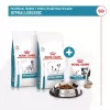 Hipoalerginiai šunų skanėstai Royal Canin 230 g – paukštienos dresūros užkandžiai, be glitimo ir cukraus, suaugusiems šunims