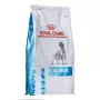Sausas šunų ėdalas Royal Canin Anallergenic 8 kg – suaugusiems, hipoalerginis, be glitimo ir laktozės