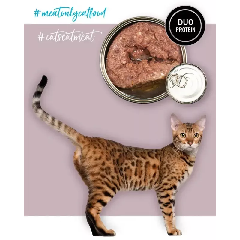 Šlapias kačių ėdalas 3coty Kalakutiena su žąsiena 80 g