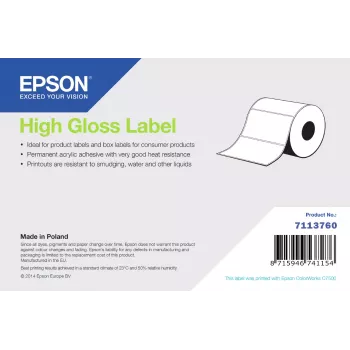 Epson aukšto blizgesio etiketės, išpjautos ritinėlyje, 102 mm x 152 mm, 800 etikečių