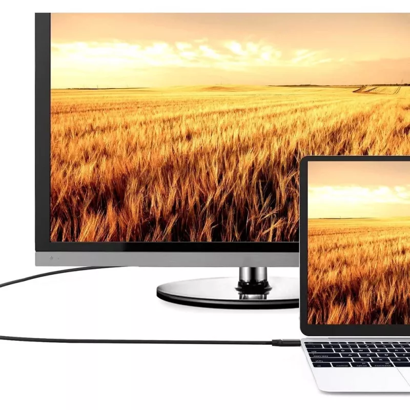 Techly ICOC HDMI-4-100NE HDMI laidas 10 m HDMI A tipo juodas