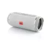 Mono belaidis garsiakalbis BLOW BT-460 PILKA — 5 W RMS, 2000 mAh baterija, Bluetooth 4.0, MicroSD, FM, AUX