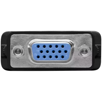 DVI-A / VGA monitorių adapteris Goobay 69971 juodas