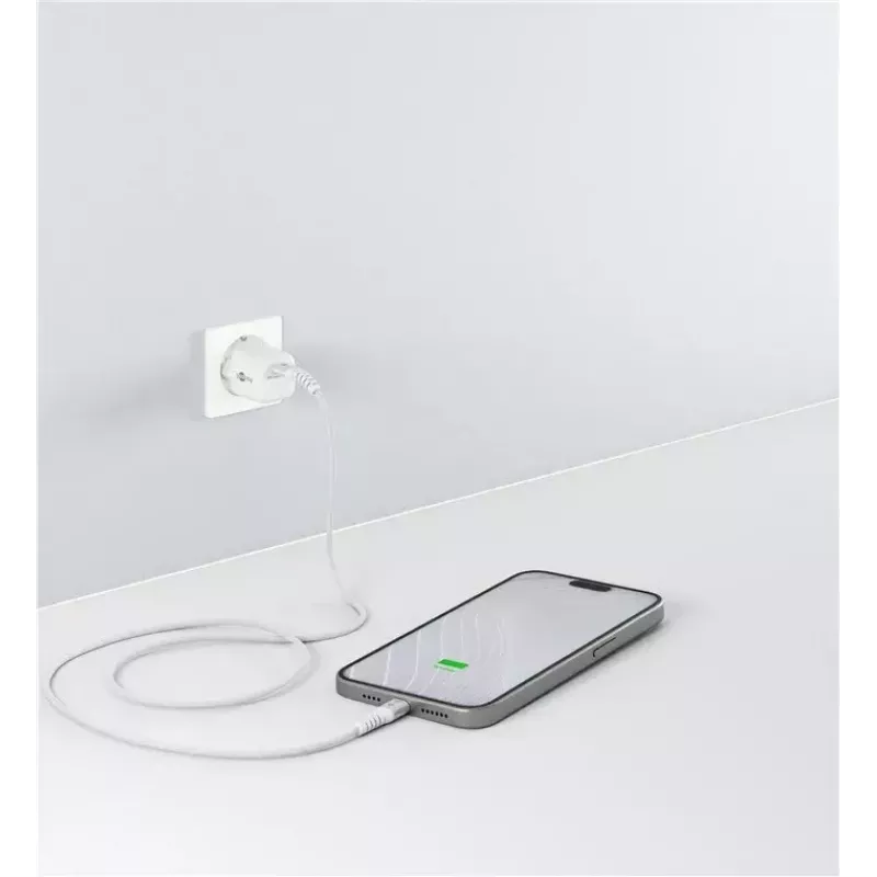 Goobay USB laidas USB 2.0 0,5 m USB-C į USB-C 0,48 Gbit/s