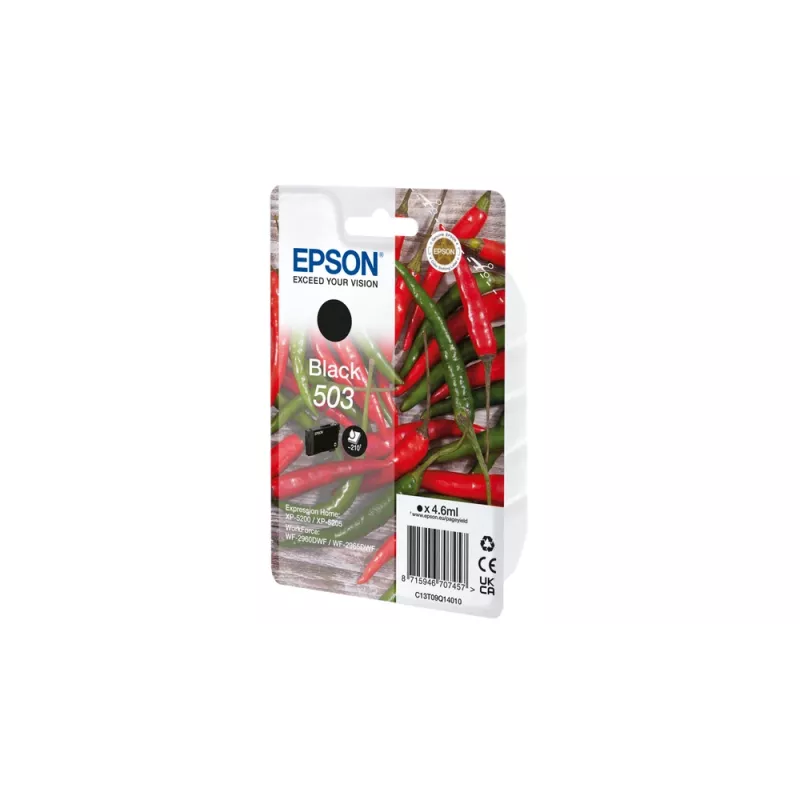 Epson 503 kasetė 1 vnt Originali Standartinė Talpa Juoda