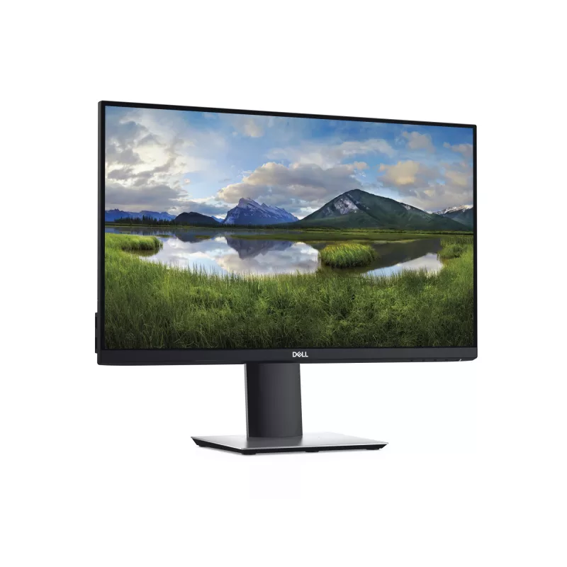 DELL P2419H monitorius 61 cm (24 col.) 1920 x 1080 pikselių Full HD LCD juodas