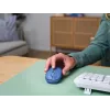 Trust Yvi+ pelė Universal Ambidextrous RF Wireless + Bluetooth Optinė 1600 DPI