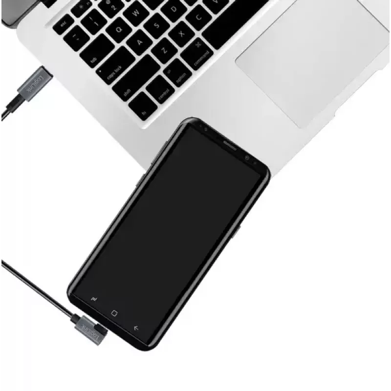 LogiLink CU0182 USB 2.0 laidas USB-C 1 m juodas sidabrinis
